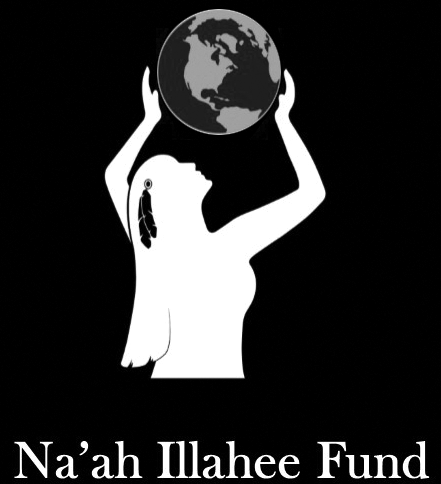Nif Logo W Name Reversed